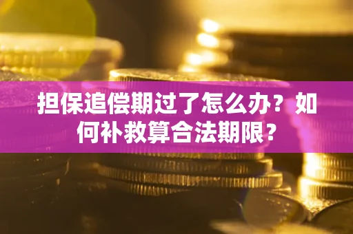 济南担保追偿期过了怎么办？如何补救算合法期限？
