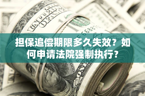 济南担保追偿期限多久失效？如何申请法院强制执行？